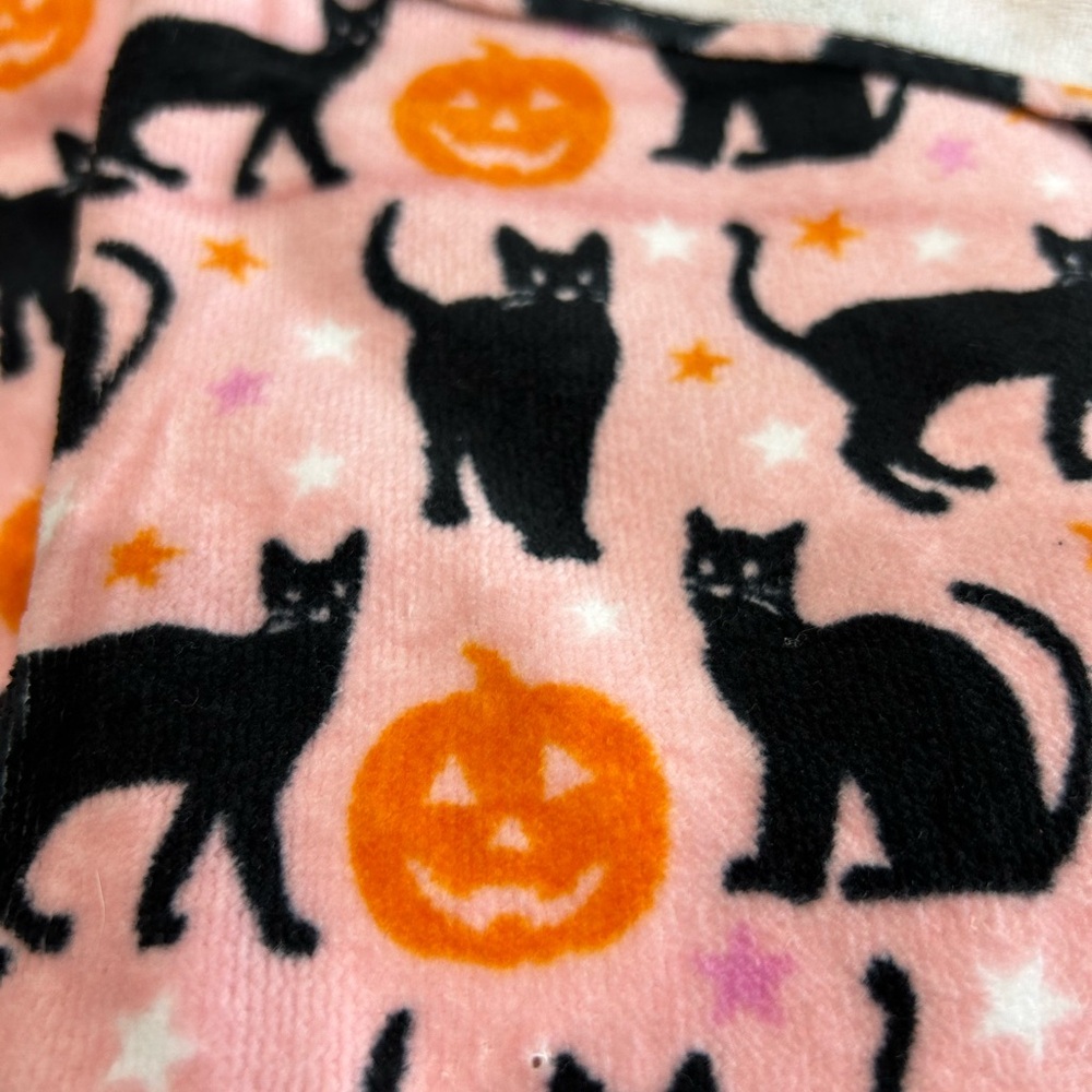 Washed Halloween PINK PUMPKIN & Black Cat Casaba 2pk 16×28 Velour Hand Towels